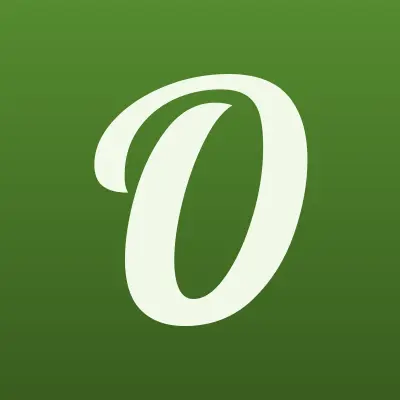 Оптика в Посаде, лого-визитка